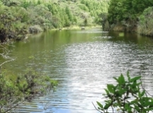 Imagen Laguna Chillacocha
